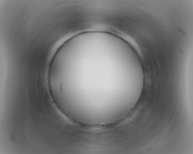 X0000113621480200910161941