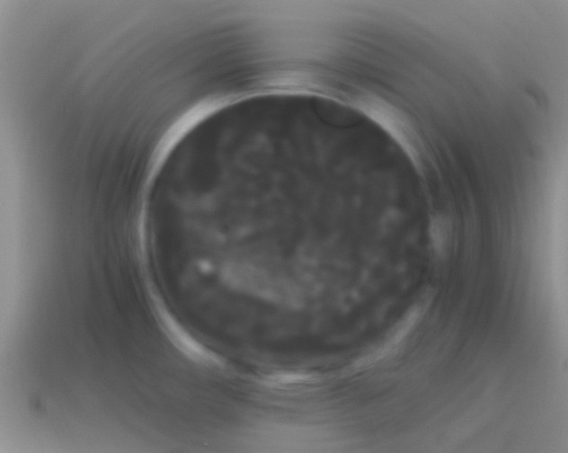 X0000113621482200910161941