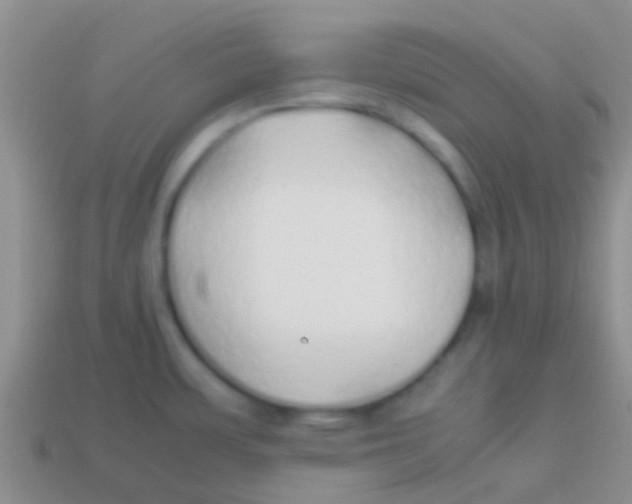 X0000113621483200910161941