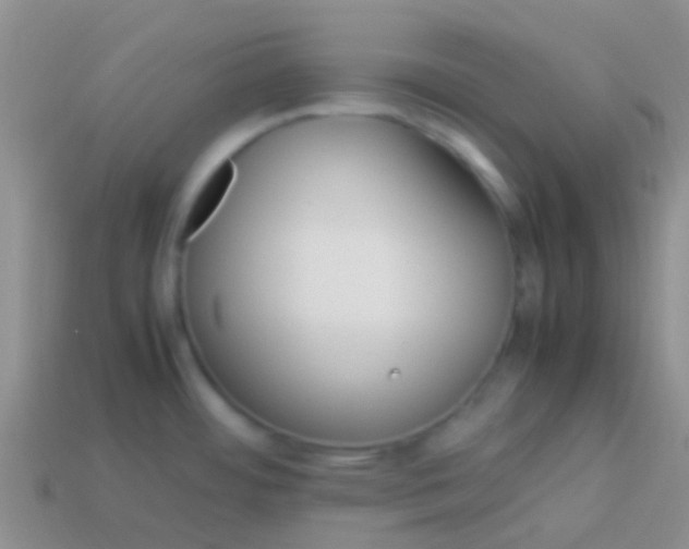 X0000113621484200910161941