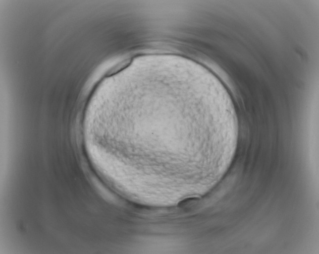 X0000113621485200910161941