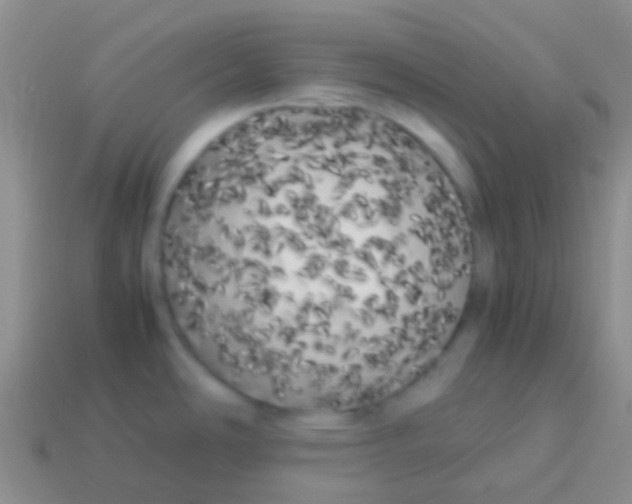 X0000113621486200910161941