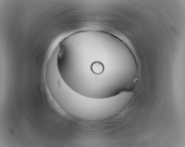 X0000113621488200910161941