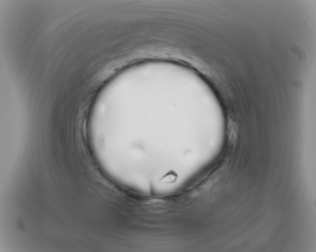 X0000113621489200910161940