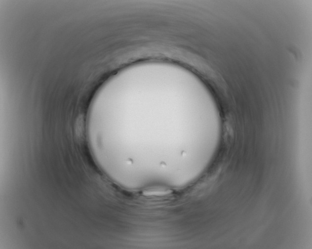 X0000113621490200910161940