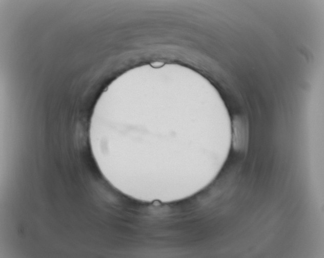 X0000113621491200910161940