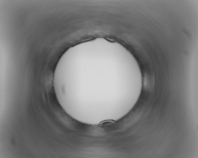 X0000113621492200910161940