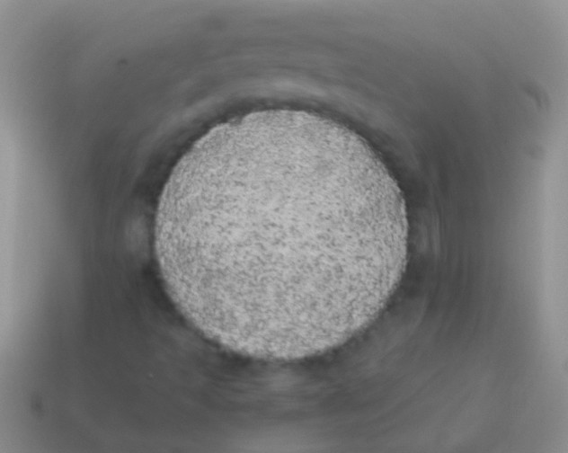 X0000113621493200910161940