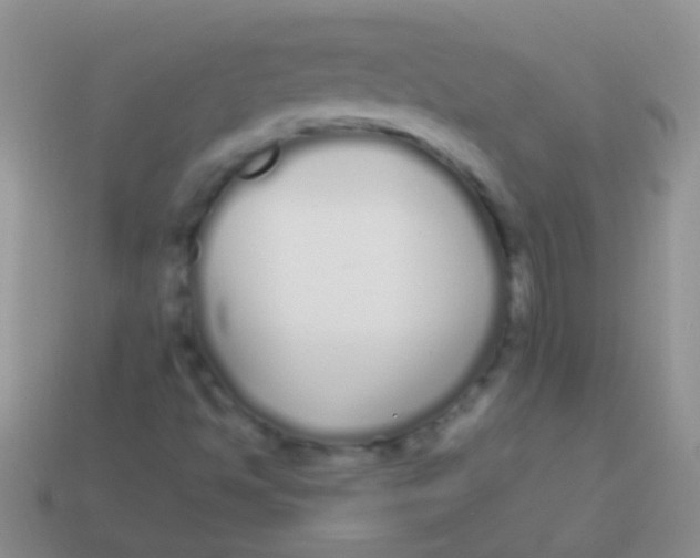 X0000113621494200910161940