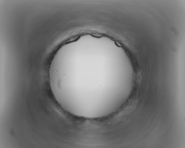 X0000113621496200910161940