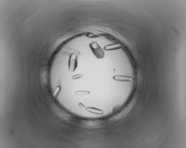 X0000113621497200910161940