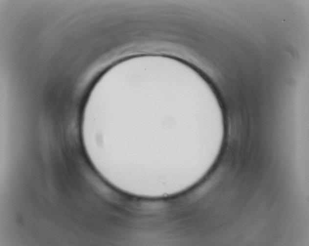 X0000113621498200910161940