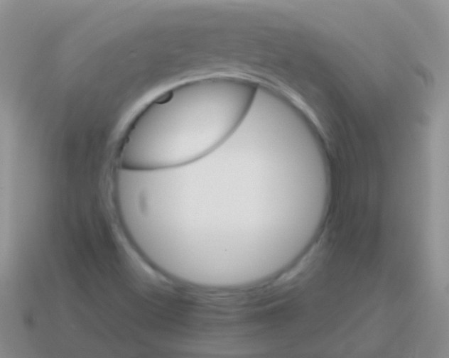 X0000113621500200910161940