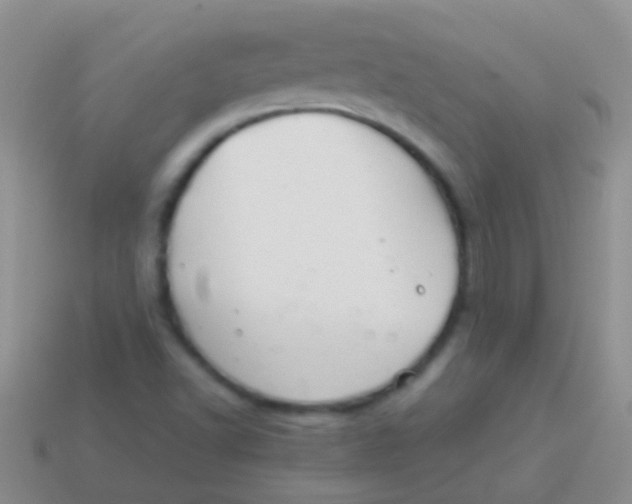X0000113621502200910161940