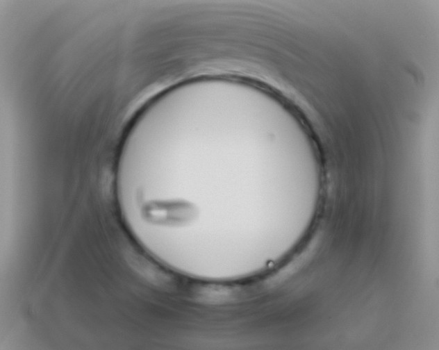 X0000113621505200910161940