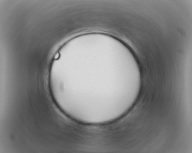 X0000113621508200910161940