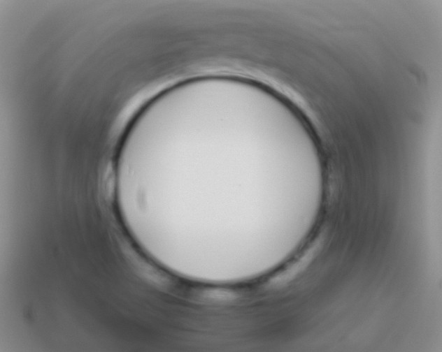 X0000113621509200910161940