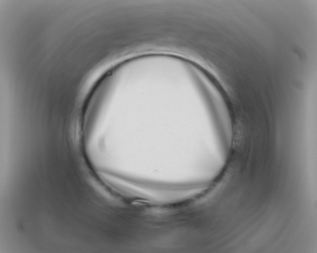 X0000113621511200910161940