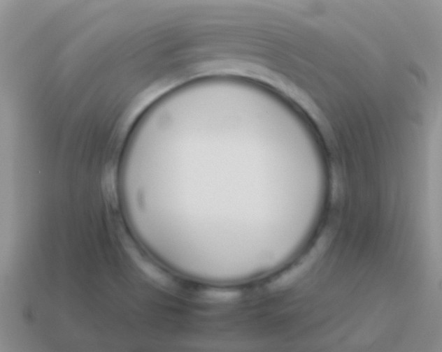 X0000113621513200910161940