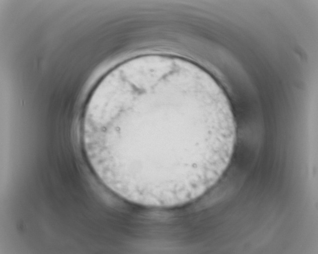 X0000113621514200910161940