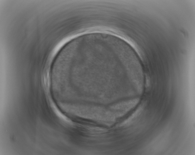 X0000113621515200910161940