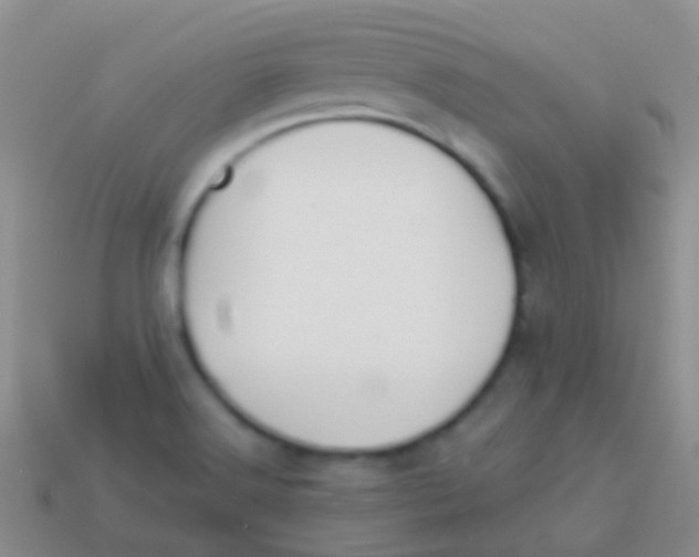 X0000113621516200910161940