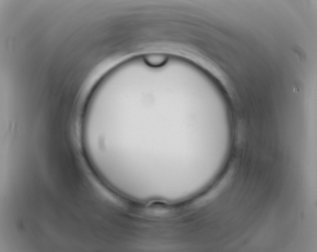 X0000113621517200910161940