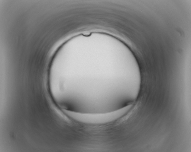 X0000113621518200910161940