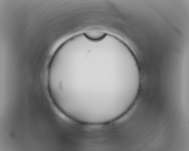 X0000113621519200910161940