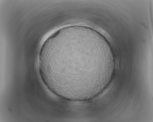 X0000113621520200910161940