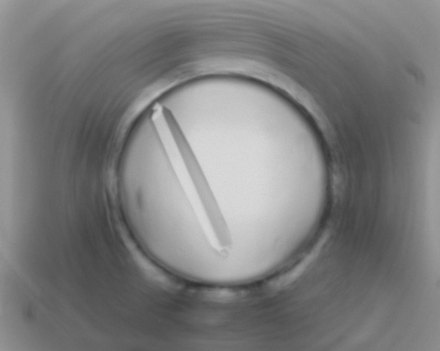 X0000113621521200910161940