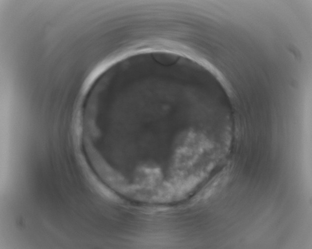 X0000113621522200910161940