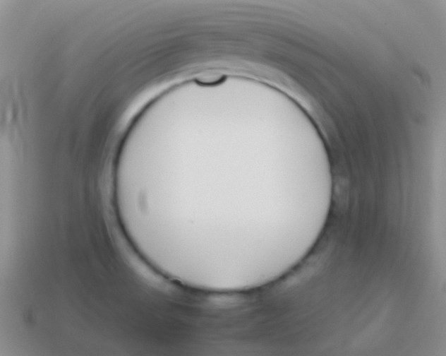 X0000113621523200910161940