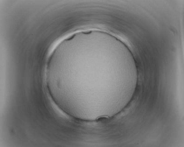 X0000113621524200910161940