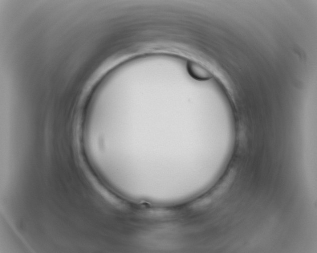 X0000113621525200910161940