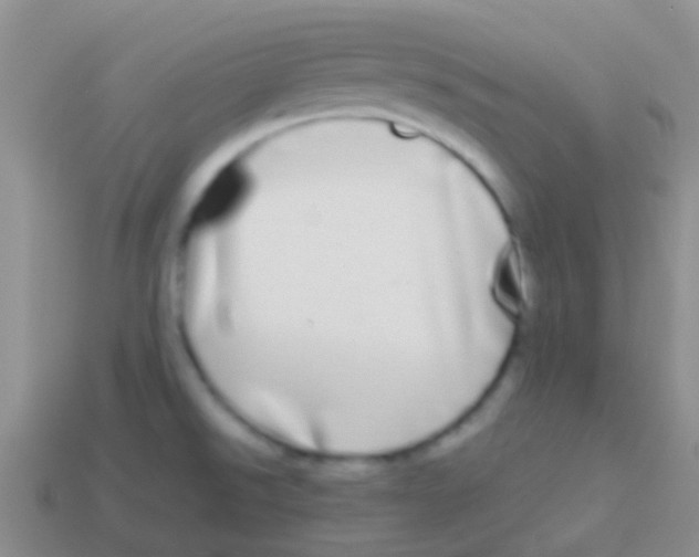 X0000113621526200910161941