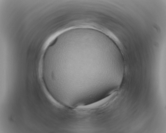 X0000113621528200910161941