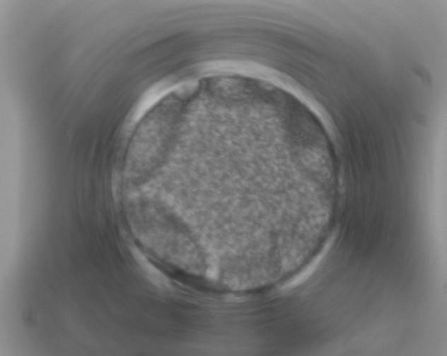X0000113621529200910161941