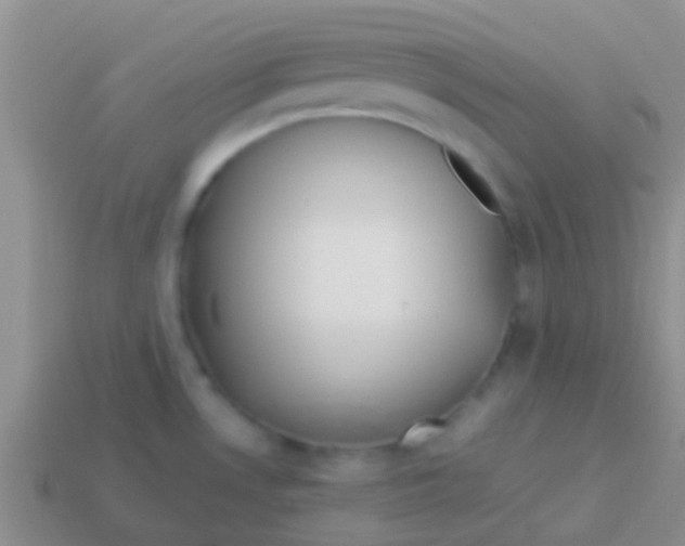 X0000113621530200910161941