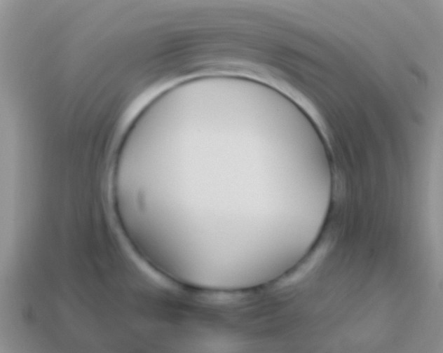 X0000113621533200910161941