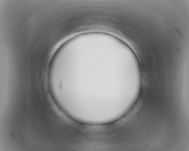X0000113621534200910161941