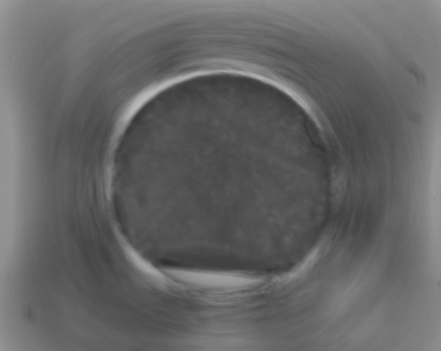 X0000113621535200910161941