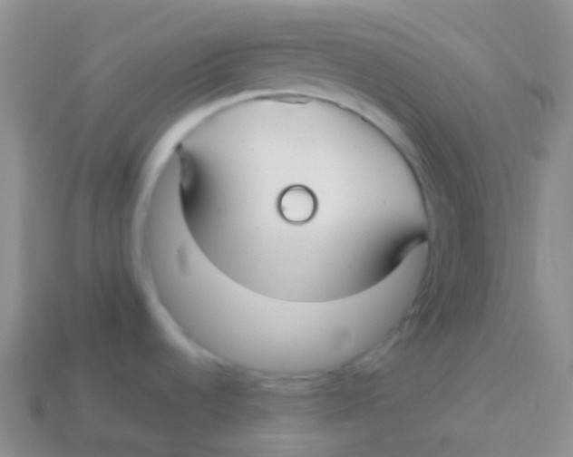 X0000113621536200910161941