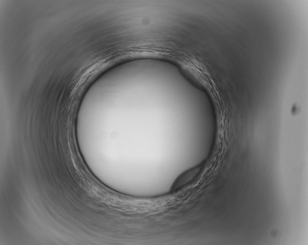 X0000113630001200909181316