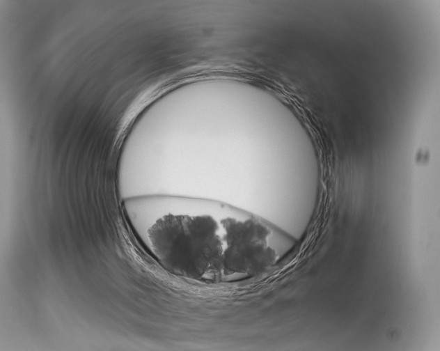 X0000113630004200909181316