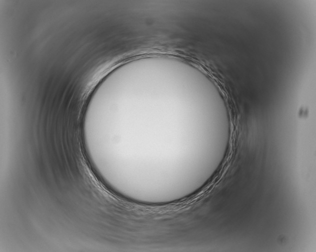 X0000113630005200909181316