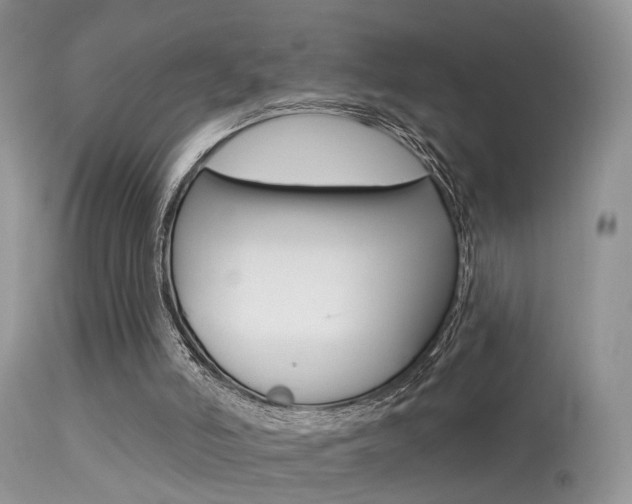 X0000113630006200909181316