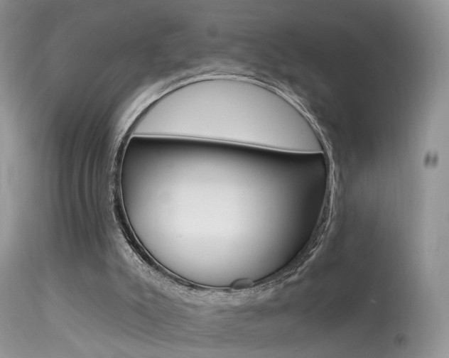 X0000113630007200909181316
