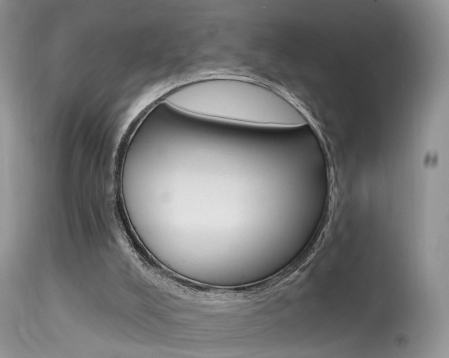 X0000113630008200909181316