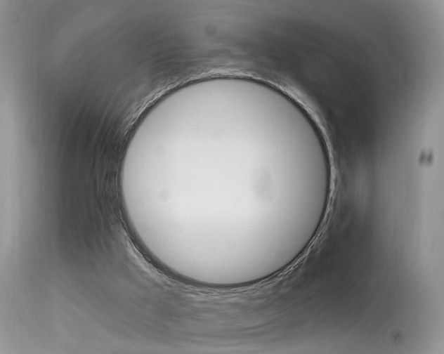 X0000113630009200909181316
